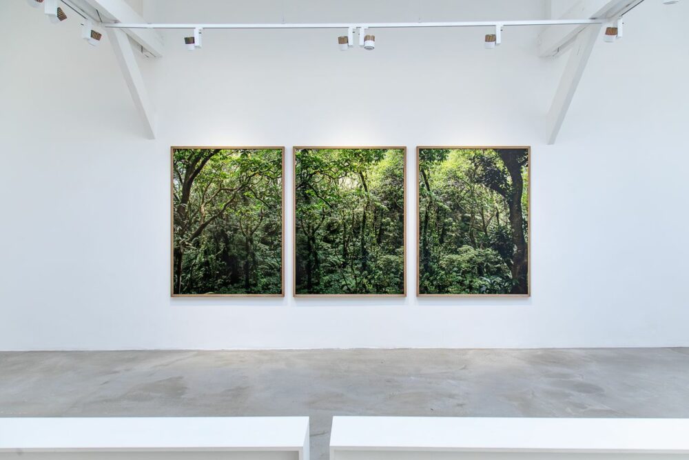 Galerie Clémentine de la Féronnière - Comité Professionnel des Galeries d'Art