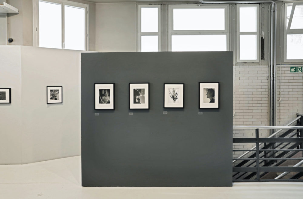 Les Douches La Galerie - Comité Professionnel des Galeries d'Art