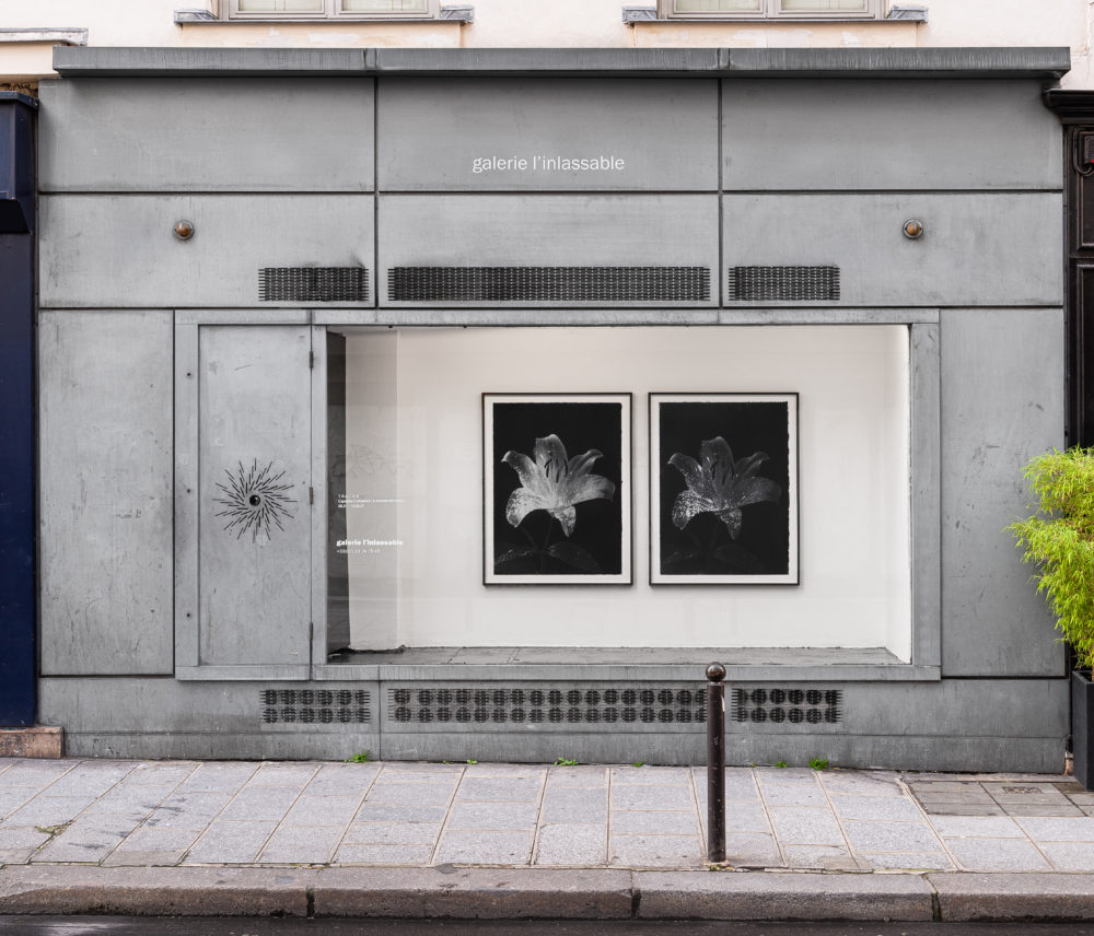 Galerie L’inlassable - Comité Professionnel des Galeries d'Art