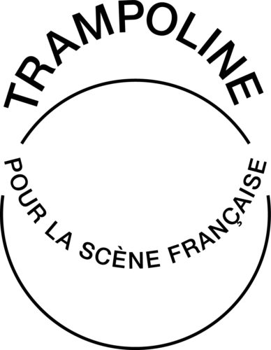 Trampoline - Comité Professionnel des Galeries d'Art