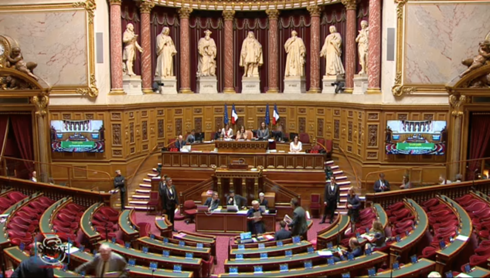 Ouverture du mécénat culturel aux sociétés publiques locales – Proposition du Sénat - Comité Professionnel des Galeries d'Art