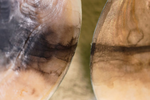 Starting Sunday 2025 - Comité Professionnel des Galeries d'Art