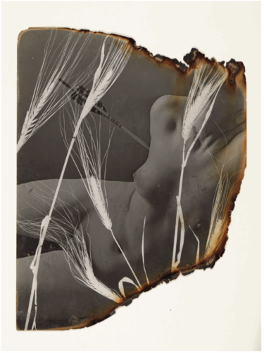 Starting Sunday 2025 - Comité Professionnel des Galeries d'Art