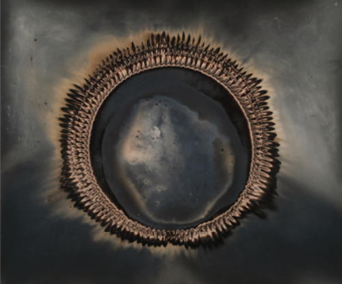 Starting Sunday 2025 - Comité Professionnel des Galeries d'Art