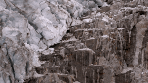 Starting Sunday 2025 - Comité Professionnel des Galeries d'Art