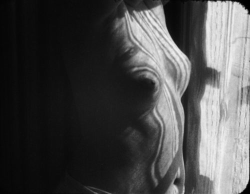 Starting Sunday 2025 - Comité Professionnel des Galeries d'Art