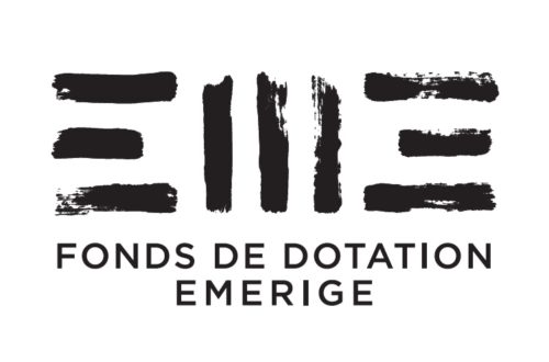 Fonds de dotation Emerige - Comité Professionnel des Galeries d'Art