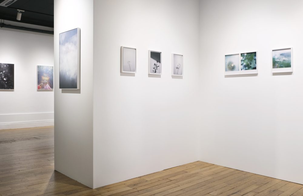 écho 119 - Comité Professionnel des Galeries d'Art